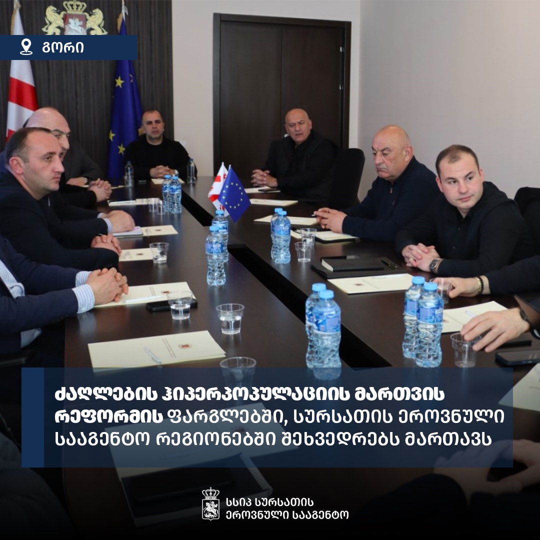 შიდა ქართლში ძაღლების ჰიპერპოპულაციის მართვის რეფორმა განიხილეს