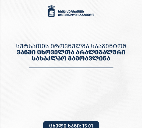 სურსათის ეროვნულმა სააგენტომ ვანში ცხოველთა არალეგალური სასაკლაო გამოავლინა