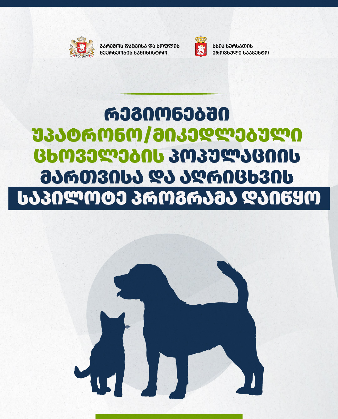 1513  მიუსაფარ ცხოველს  ჩაუტარდა ვეტერინარული მანიპულაციები 